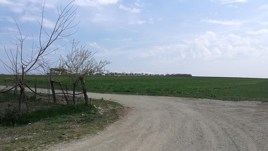 Techirghiol, teren 450mp, 20 m deschidere, str. Pericle Macri colt cu Plantelor - 3