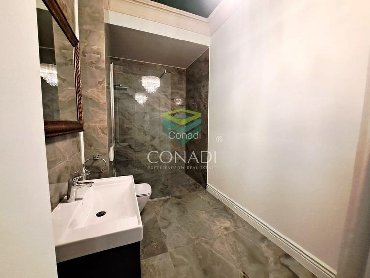 Baneasa-Iancu Nicolae, vila de inchiriat, 424 mp utili - 16