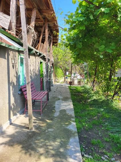 teren si casa batraneasca de vanzare - 2