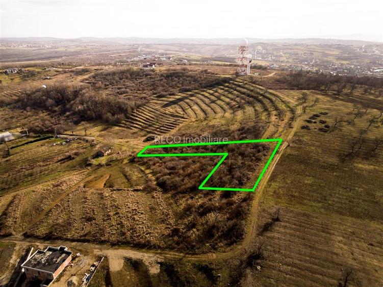 RECO Teren intravilan in zona Oncea - 2