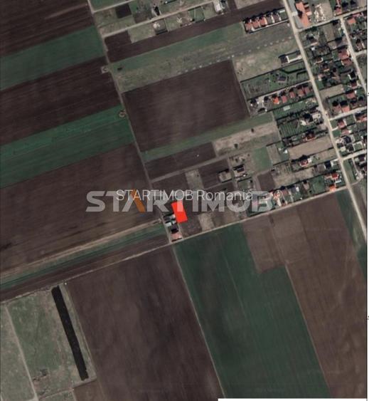 Teren construibil Harman cu proiect casa - 4