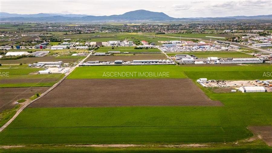 FILM! Teren intravilan, cu PUZ, pe 10.000 mp, Grivitei, Brasov - 5