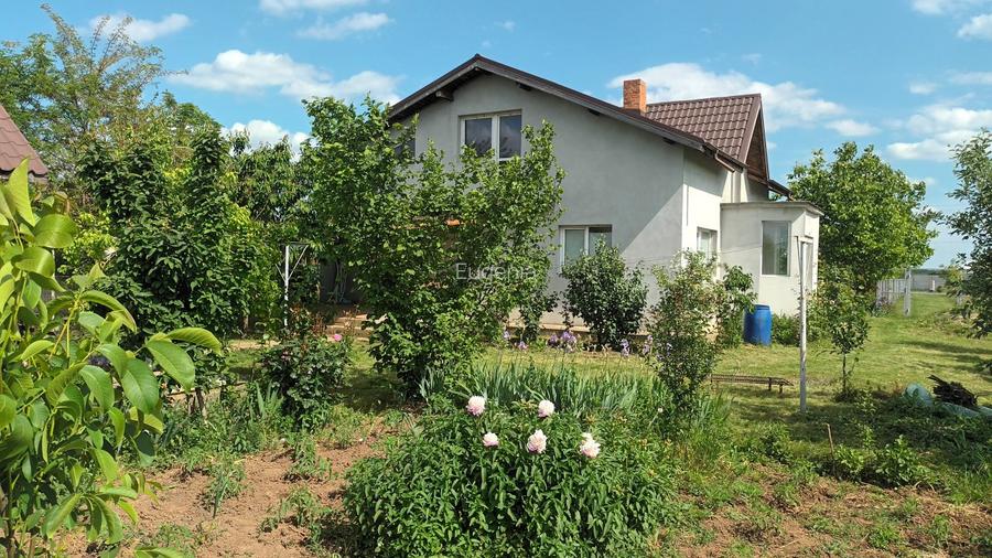 Moara Vlasiei , Casa cu teren 4250 m2 - 3