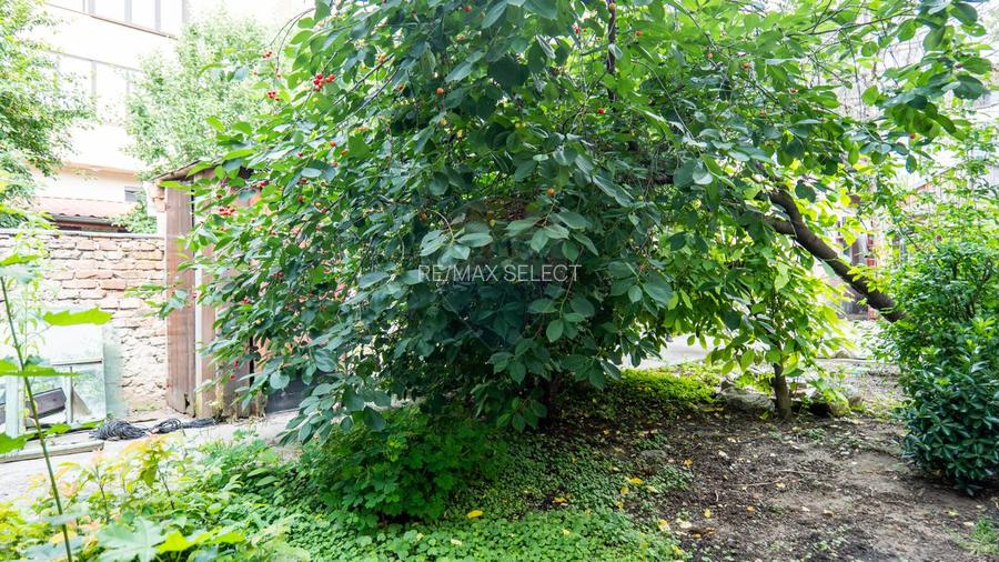 Casă individuală de vanzare + teren intravilan 539 mp - Parc Bazilescu - 17