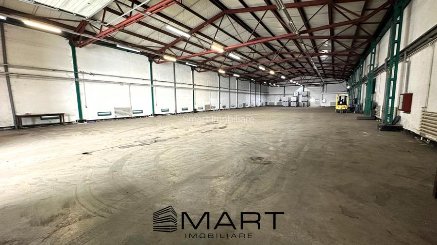 Hala 850mp zona industriala Vest - 2