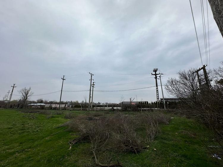 Teren 157.000mp Mogosesti | Giurgiu