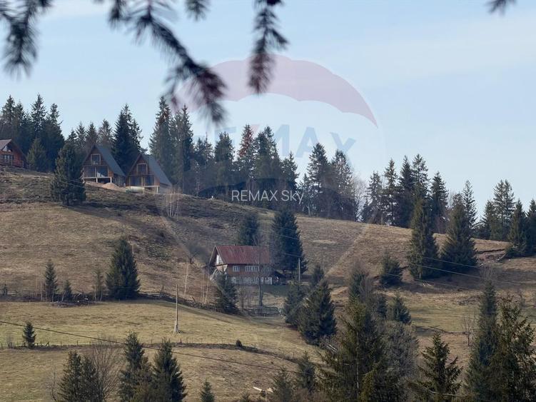 Oază de liniște în inima Apusenilor – teren 6.500 mp Arieșeni - 11