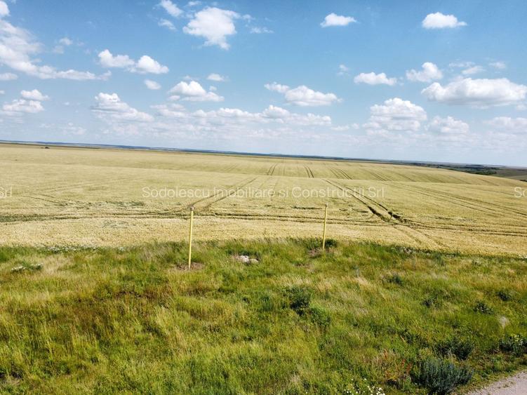 Teren la sosea Ortisoara - Autostrada A1 - 20