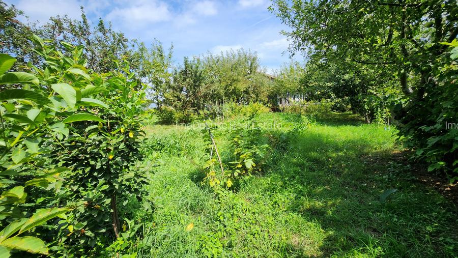 Teren intravilan, 1195mp, utilitati, la liziera padurii, parau, Faget - 3