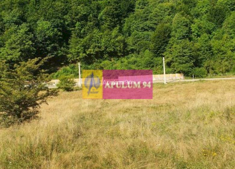 Teren Județul Vâlcea - Brezoi, Valea lui Stan - 24