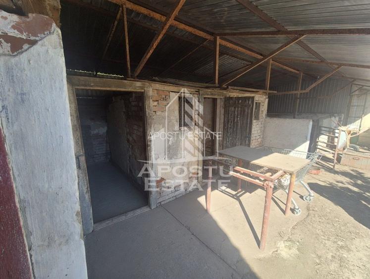 PROPRIETATE PREMIUM TEREMIA MARE - APOSTU ESTATE - 15