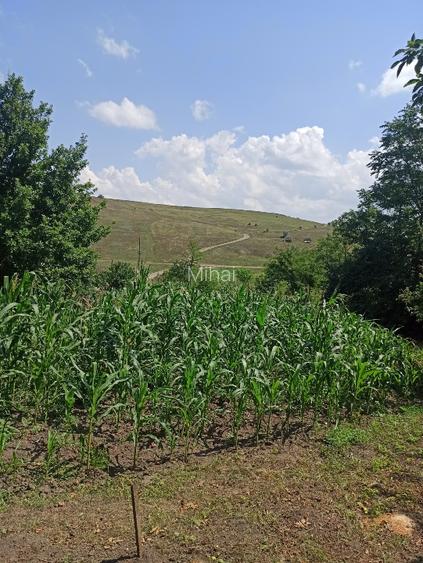 Vând casă parinteasca localitatea Vlădeni, com. Corlăteni, jud. Botoșani  - 7