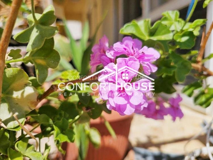 Vila D+P+E+M, teren 898mp, piscina, IANCU NICOLAE-Cambridge School - 53