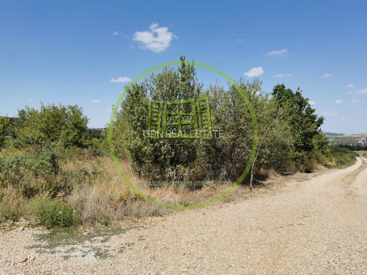 Teren intravilan de vanzare, 3.500 mp, cu front stradal de 21,5 ml - 6