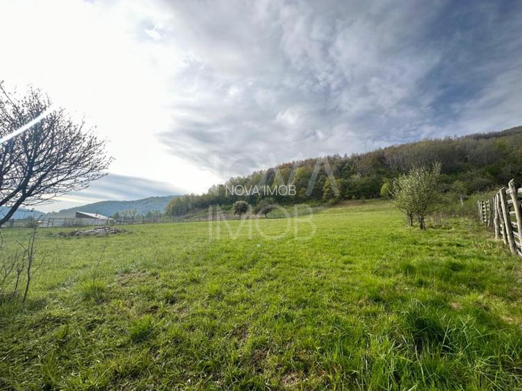 Teren 6642 mp - Sibiel, Str. Gradinarilor - 2