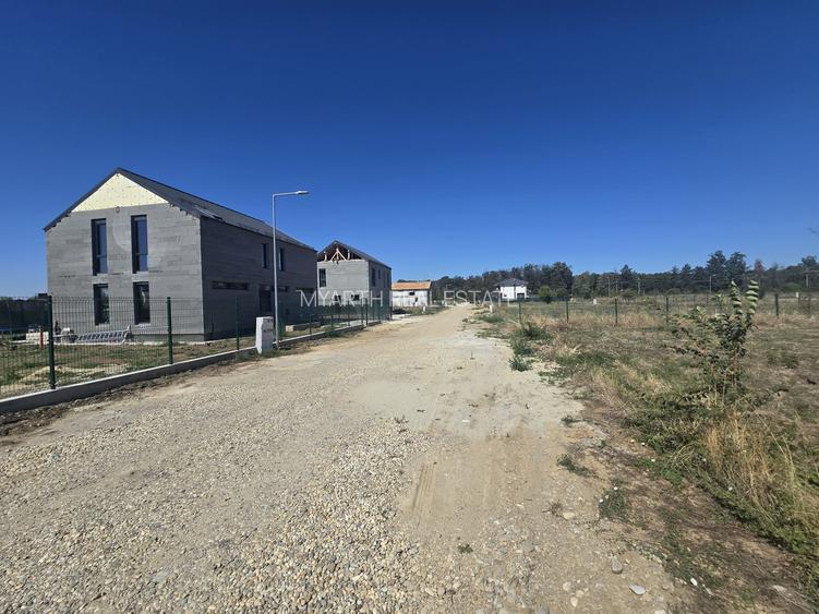 Gulia, Tartasesti, Eden Forest Residence,Samurcasi - 8