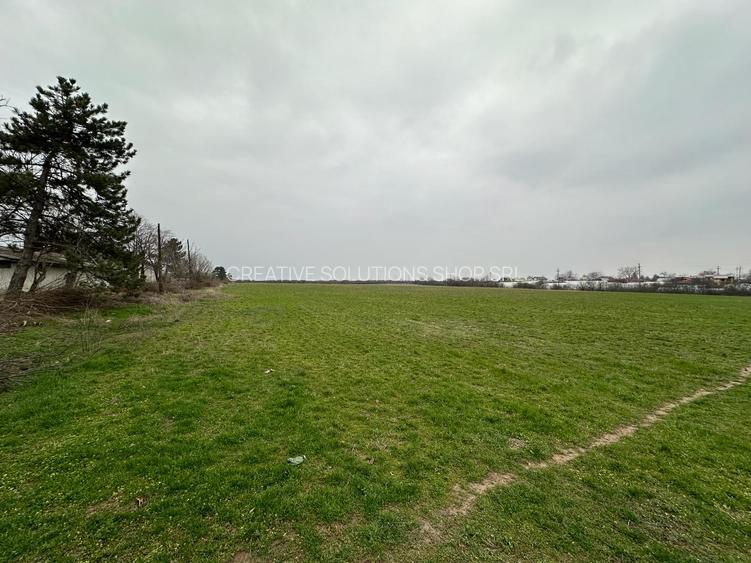 Teren intravilan Mogosesti | Giurgiu | 370.000mp | Adunatii Copaceni - 7