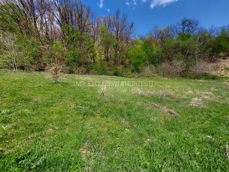 Casa 6 camere langa padure/ 340 mp/ teren de 3 745 mp la 5 min de Pitesti - 10