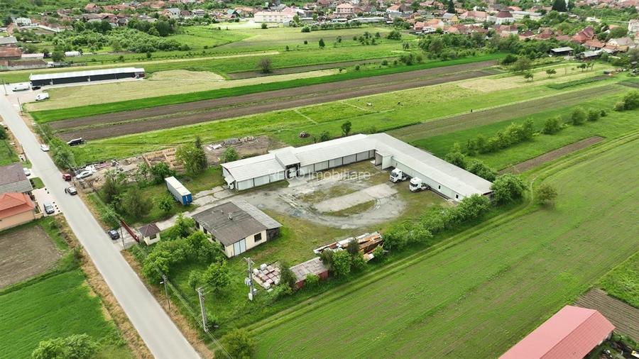 RECO Hala frigorifica Lugasu de Jos Bihor - 6