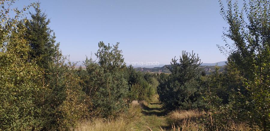 Teren Sacele zona de relaxare pretabil investitie - 4