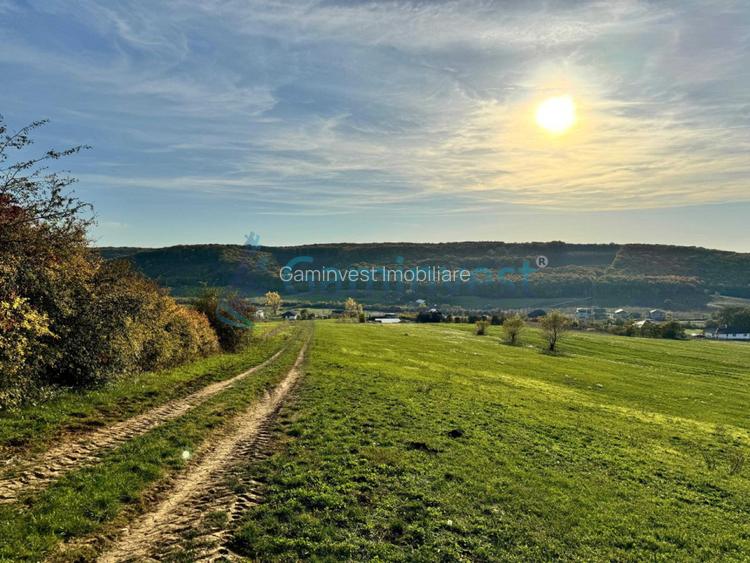 Teren de vanzare in Betfia, 5487 mp intravilan, Bihor - 5