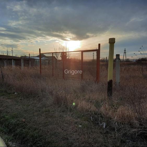 Teren intravilan Ișalnița 2200 mp, 2 intrări, utilități, 75€/mp - 6