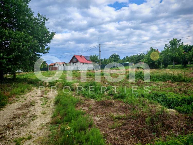 Teren intravilan 25 ari, parcelabil – Baia Sprie, zonă frumoasă și liniștită - 5