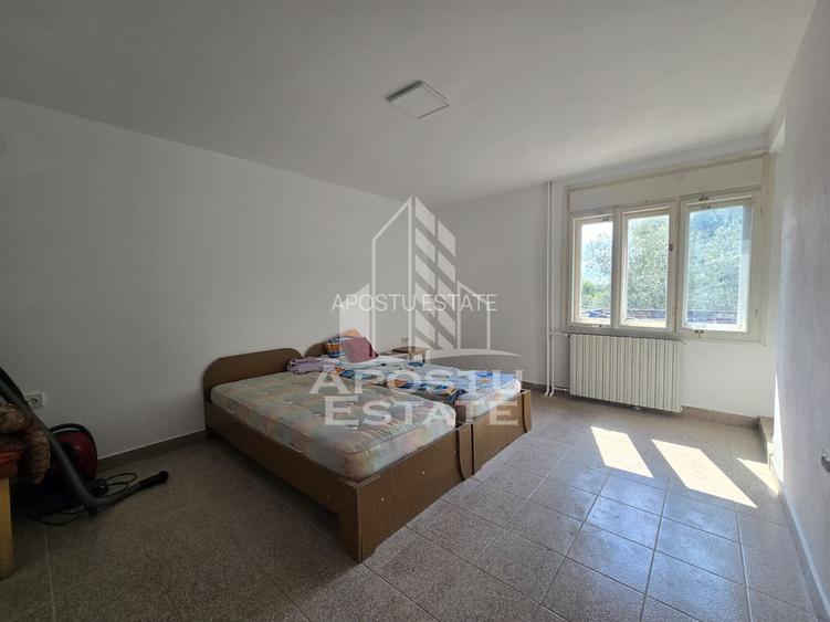 Casa de vanzare, potential pensiune, pe malul Timisului,Sag,comision 0 - 14