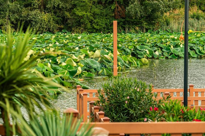 Vila cu 4,5,6  camere de vanzare in Marina Snagov - 29