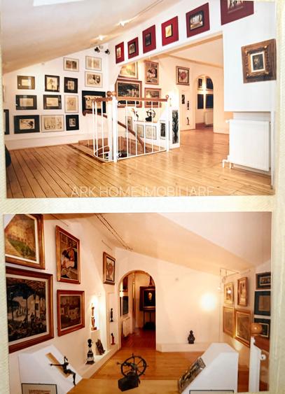 Spatiu Comercial Stradal Dacia - 5