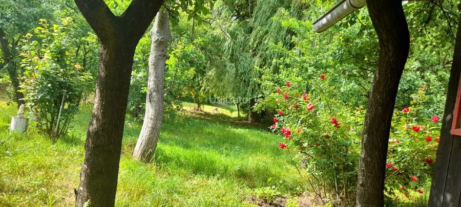 Casa de vanzare sat Manastioara, com. Fitionesti, jud. Vrancea,  - 3