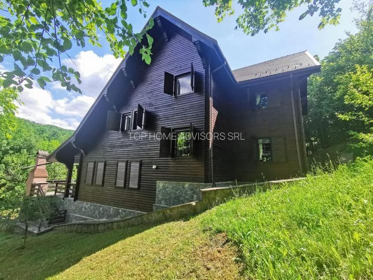 Casa de vacanta deosebita Breaza- Nistoresti - 36