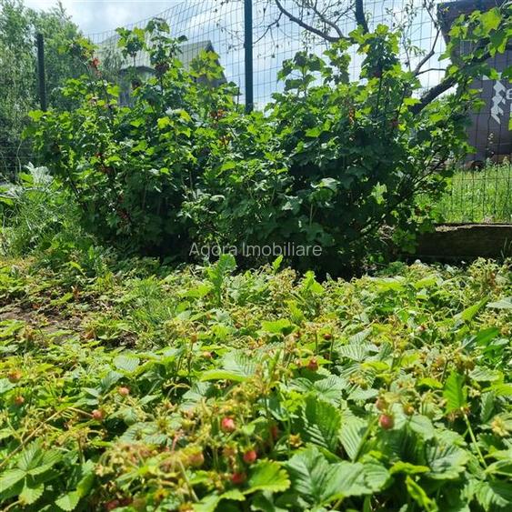 Vila de vanzare 200 mp cu anexe 40 mp si teren 1600 mp - 19