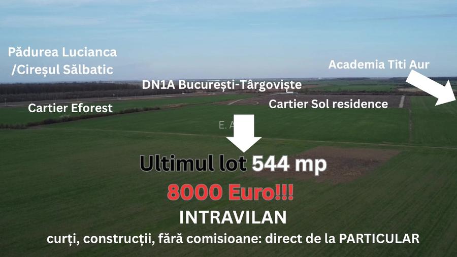 Academia  Titi Aur, 544 mp., PARTICULAR, intravilan construibil, 5.500E/lot - 9