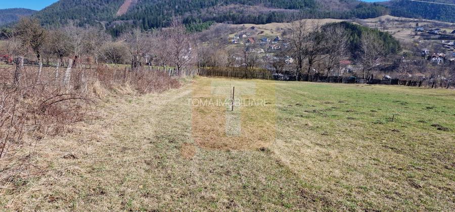 Teren intravilan de 4.000 mp în Bistrița – Alexandru cel Bun - 12