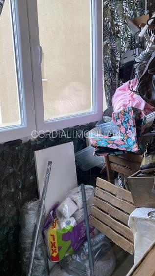 Colentina Teiul Doamnei - 6