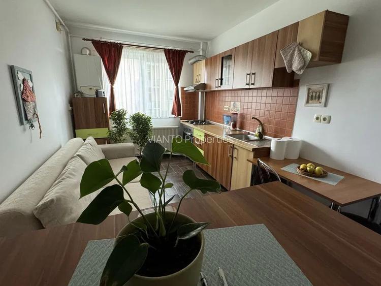 Apartament 2 camere Turnisor - 2
