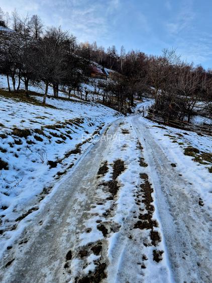 Teren intravilan Simon/Bran, 4318 mp , casuta intabulata, utilitati - 20