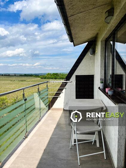 Apartament doua camere in zona Copou - Carol Residence - 8