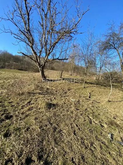 TEREN DE VANZARE -SULTANU,VISINESTI - 4