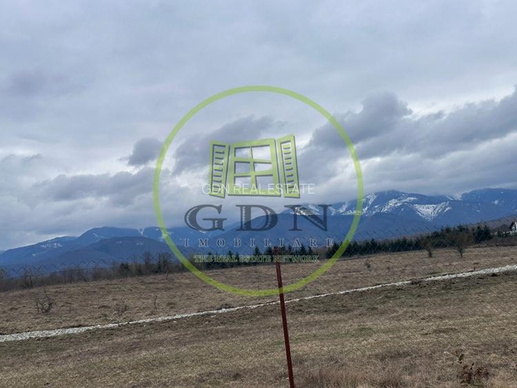 Exclusivitate! Teren intravilan, ttrifazic 44kw, urbanism, toate avizele luate! - 7