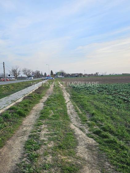 Teren 21600 mp in apropiere de Autostrada Transilvania - 5