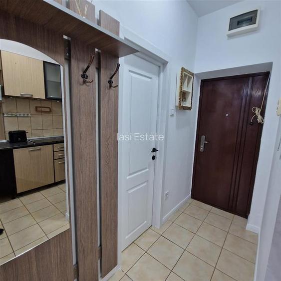 Apartament 1 camera Bulevardul Socola - 11
