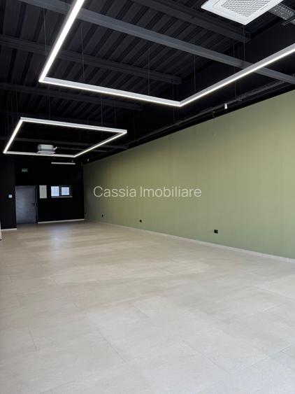 Spatiu Comercial 122 mp zona Ford/Dedeman - 4