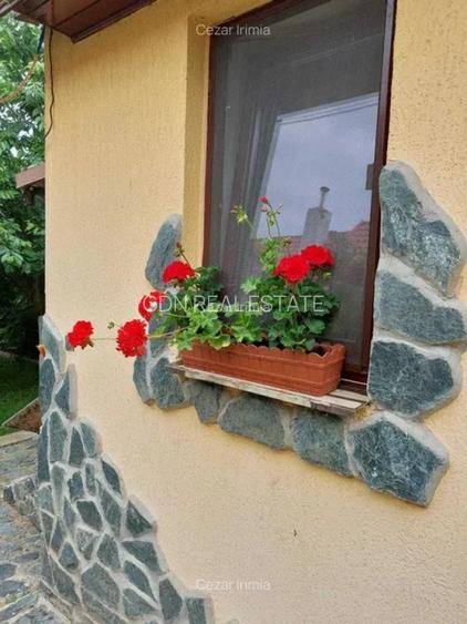 Vand casa 3 camere ARIUSD - 2