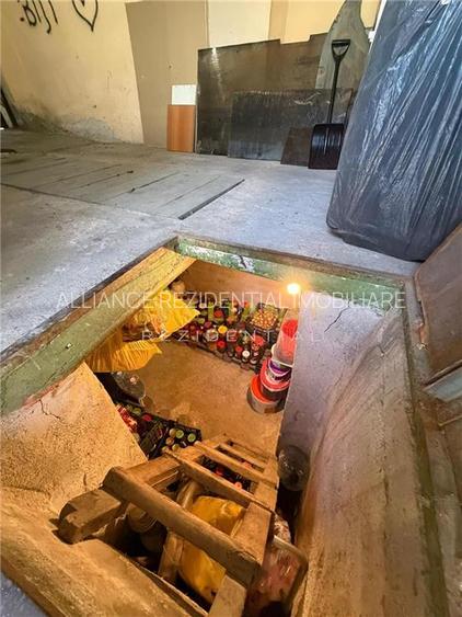 Anghel Saligny | Casa | 754mp teren - Pallady - 15