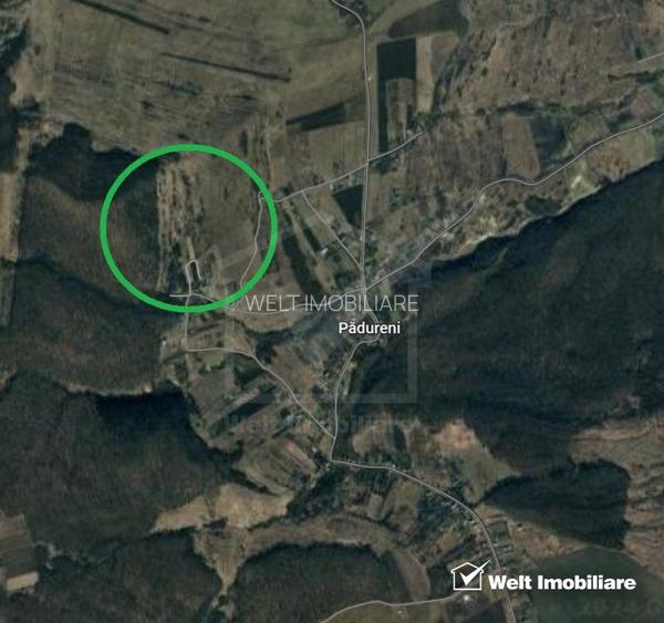 Teren extravilan, Padureni 20700 mp, alipit padure - 3