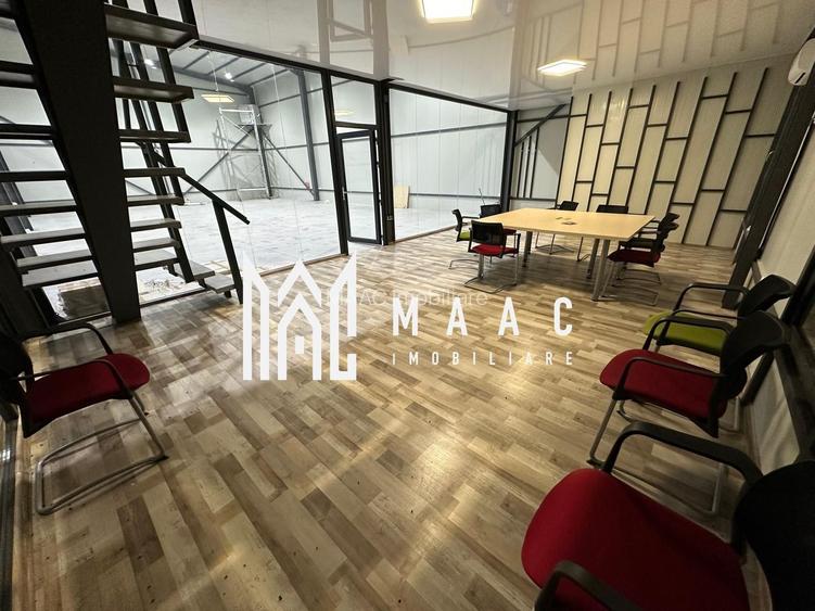 Hala | 250 MP |  Teren 3900 MP | - 3