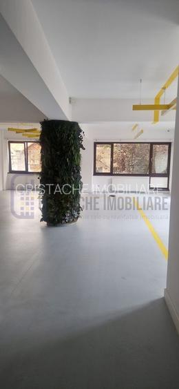 Vila P+2, suprafata 380 mp, Principatele Unite, Piata Unirii - 33