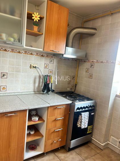 DE INCHIRIAT! 2 camere 1 MAI-Parcul Romanescu/centrala/mobilat si utilat/ - 13